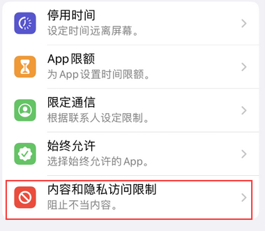 江边乡appleID维修服务iPhone设置中Apple ID显示为灰色无法使用