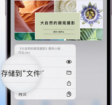 江边乡apple维修中心分享iPhone文件应用中存储和找到下载文件