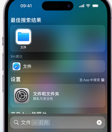 江边乡apple维修中心分享iPhone文件应用中存储和找到下载文件 