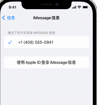 江边乡apple维修iPhone上无法正常发送iMessage信息 