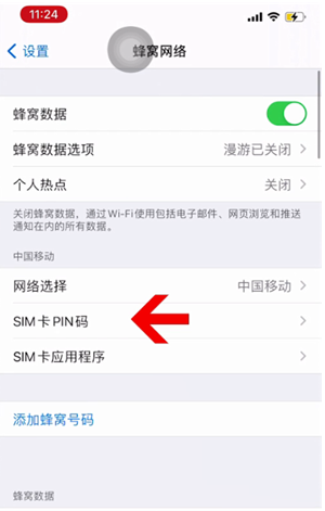 江边乡苹果14维修网分享如何给iPhone14的SIM卡设置密码 