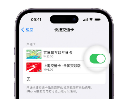 江边乡apple维修点分享iPhone上更换Apple Pay快捷交通卡手绘卡面 