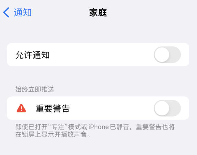 江边乡苹果14维修分享iPhone14系列机型弹出“家庭”警告后卡死如何解决 