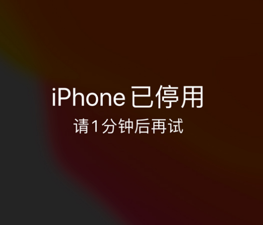 江边乡苹果手机维修分享:iPhone 显示“不可用”或“已停用”怎么办？还能保留数据吗？ 