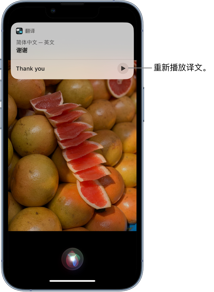 江边乡苹果14维修分享 iPhone 14 机型中使用 Siri：了解 Siri 能帮你做什么 