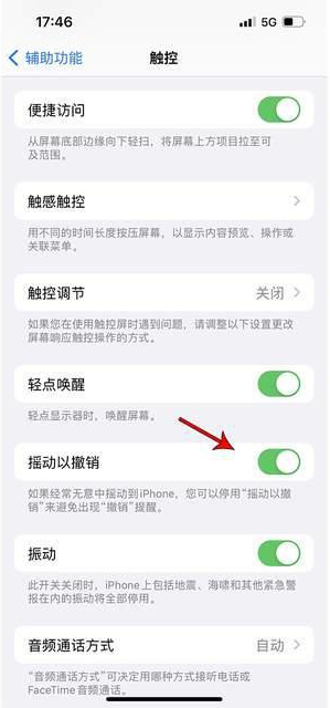 江边乡苹果手机维修分享iPhone手机如何设置摇一摇删除文字 